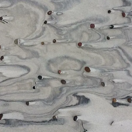 Pod Jesionem Apartamento *