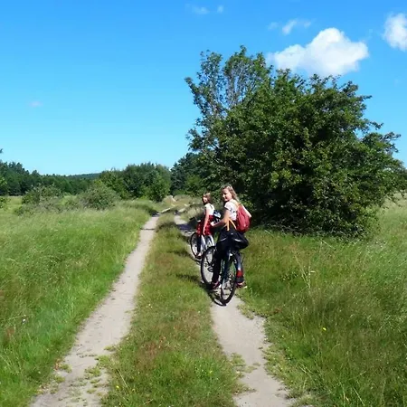 Pod Jesionem Appartement