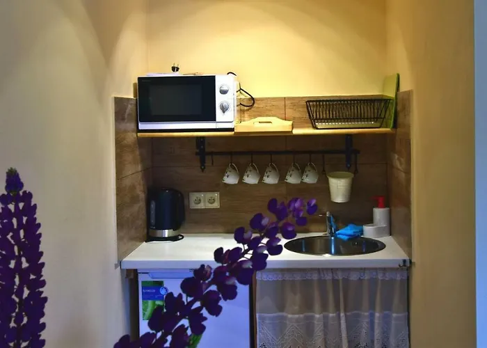 Pod Jesionem Apartament *