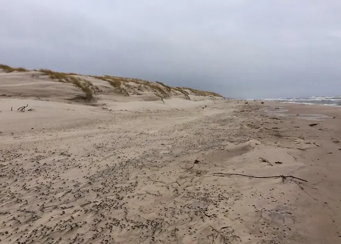 Apartament Pod Jesionem *