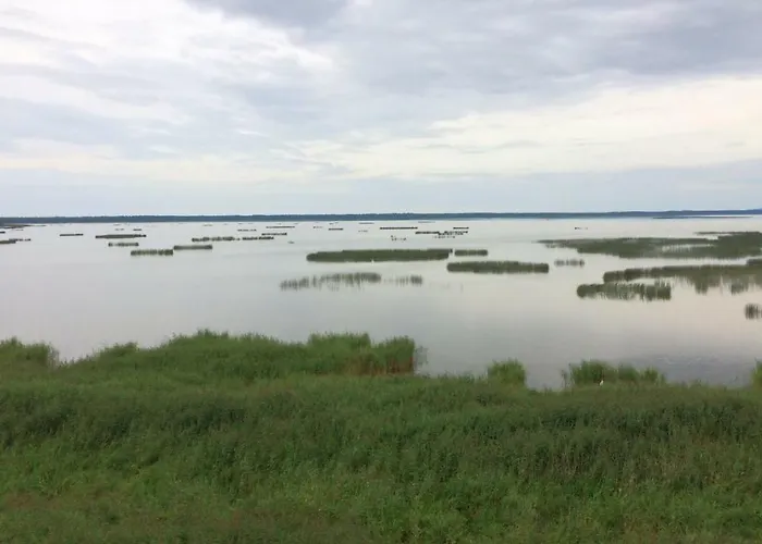 Pod Jesionem Apartament *