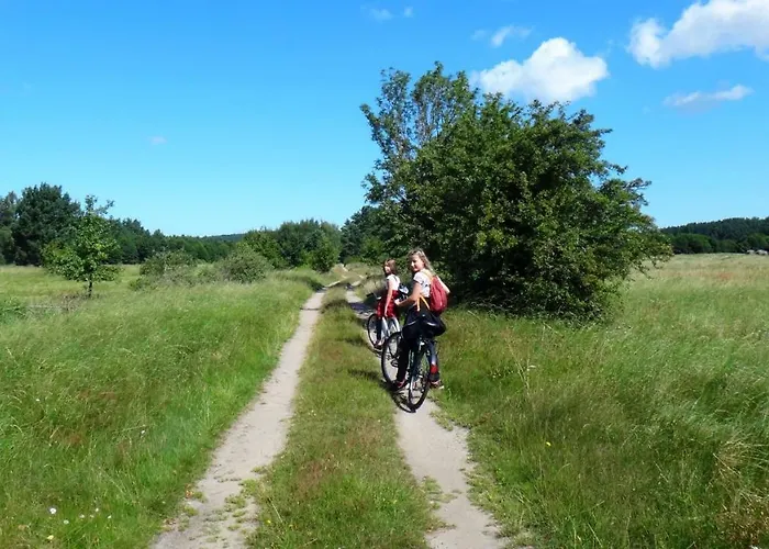 Pod Jesionem Apartament